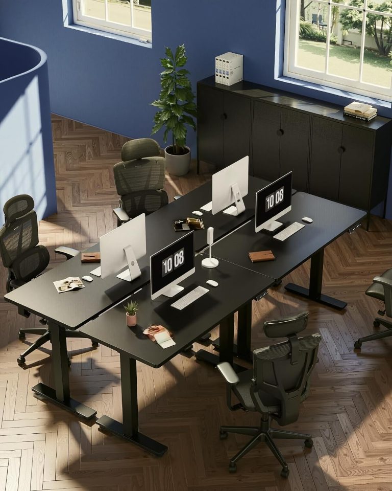 FLEXISPOT EN1 One-Piece