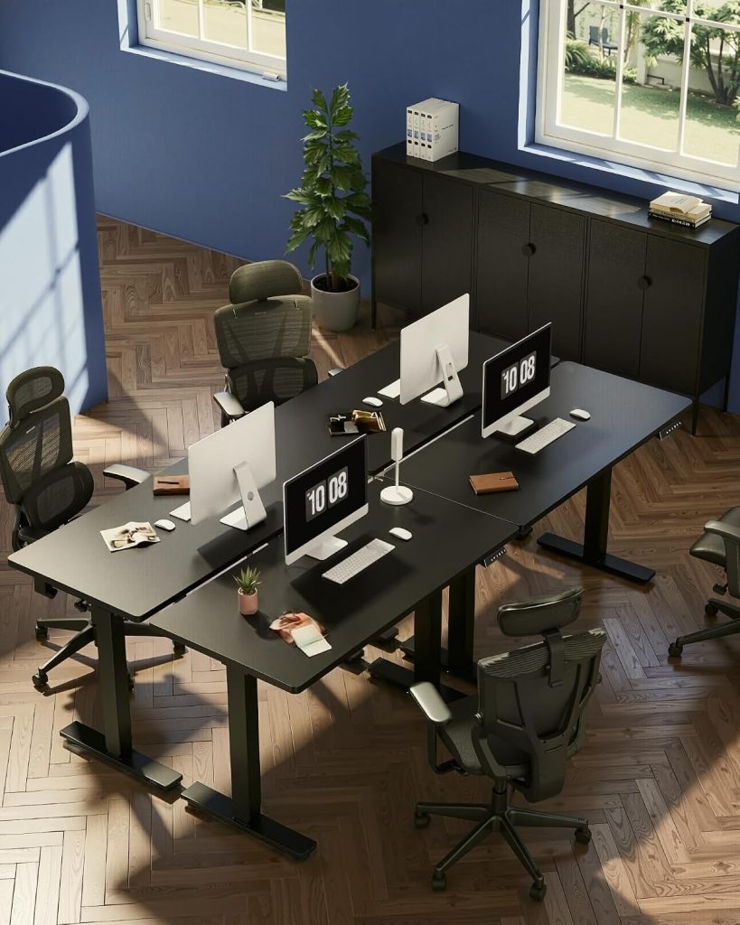 FLEXISPOT EN1 One-Piece