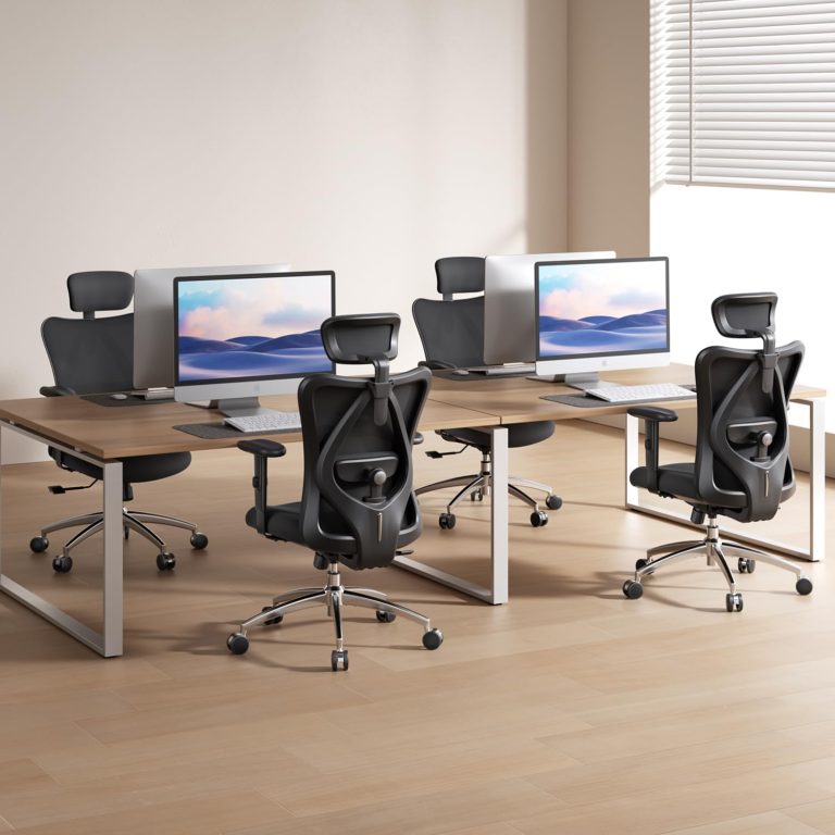 SIHOO M18 Ergonomic Office Chair